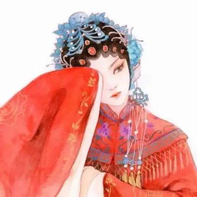 幕布后的猫的头像